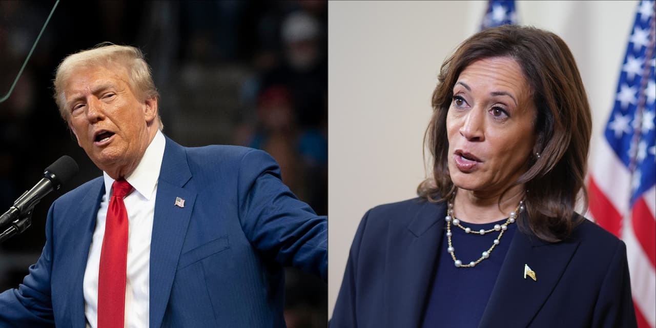 Whats at stake for stocks bonds and other markets as investors await election  MarketWatch