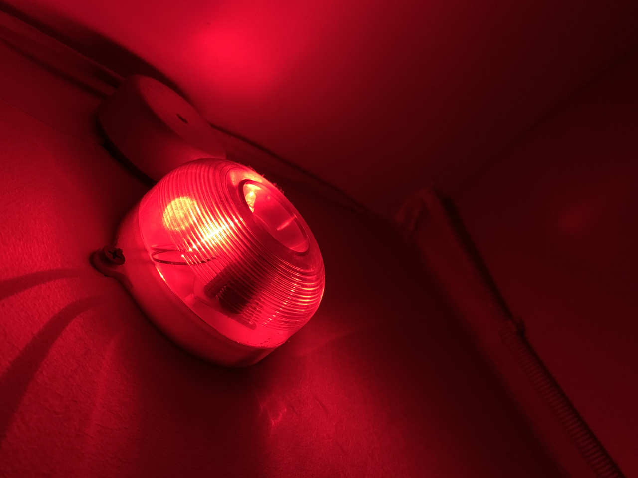 A cluster of ominous stock-market signals hints at a rocky year ahead for investors