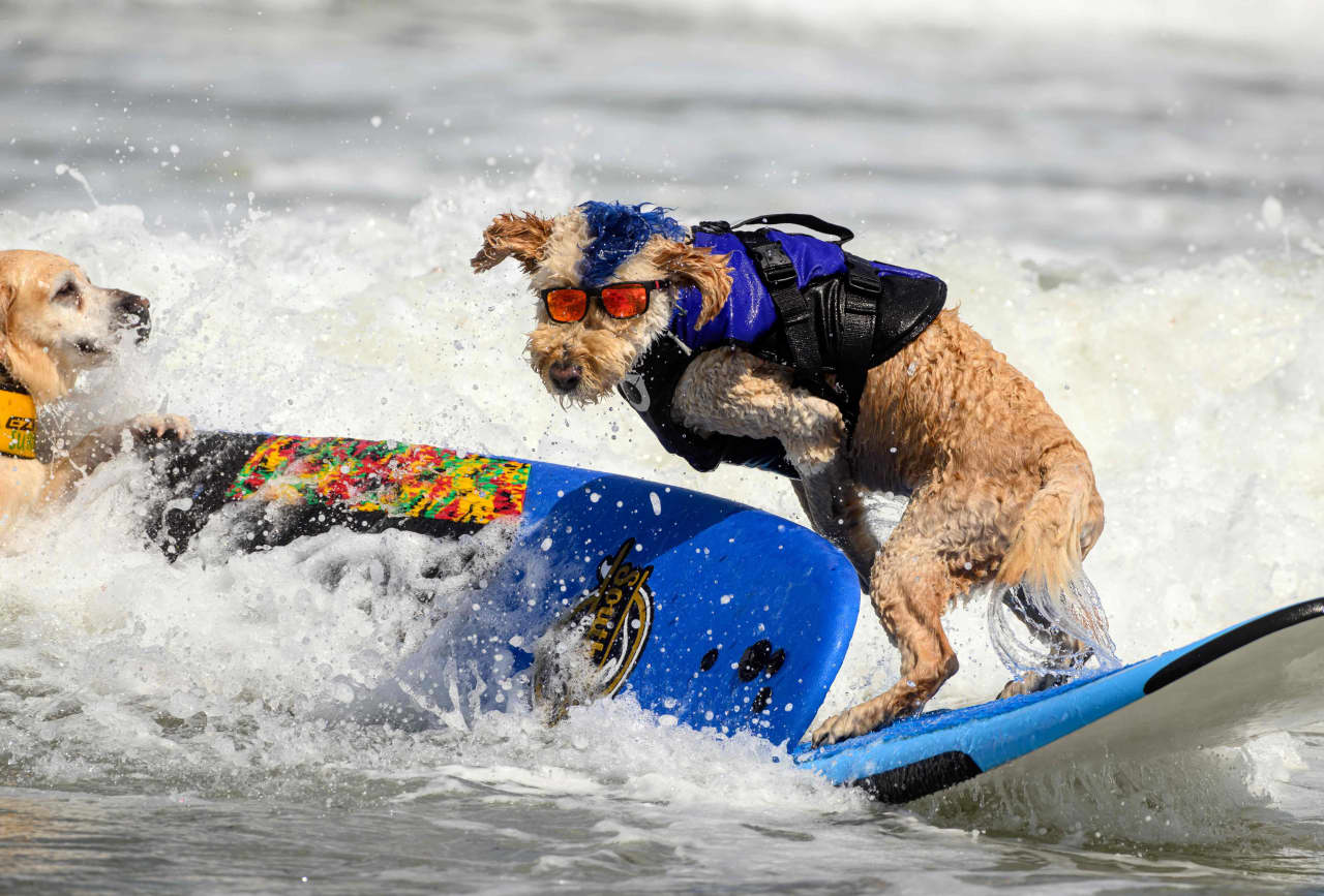 These mutual fund and ETF investing tips help your portfolio ride the market’s wave