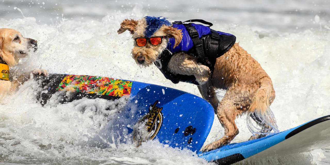 These mutual fund and ETF tips will help your portfolio ride the pulse of the market.