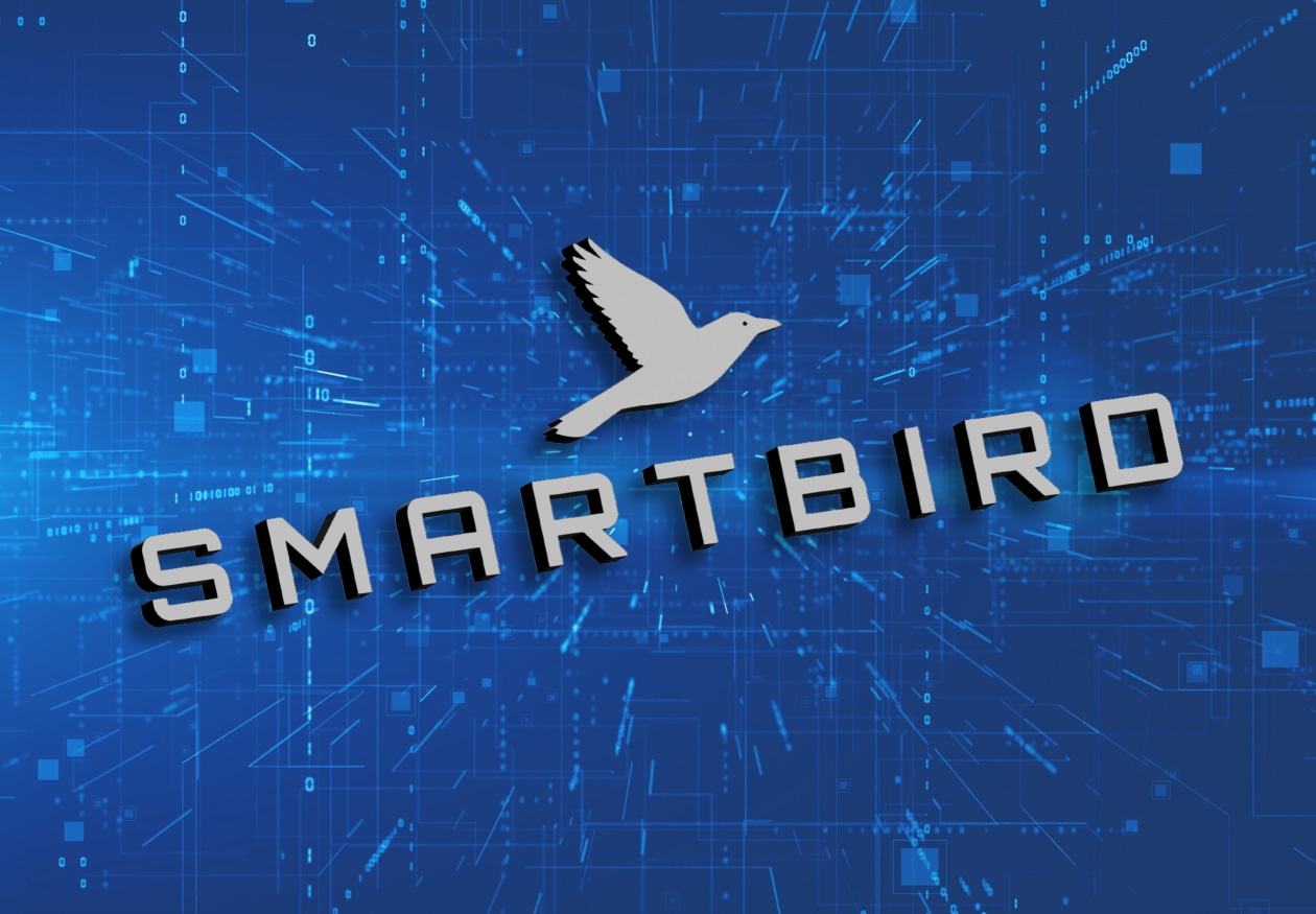 Goodbye, Allbirds. Hello, 'Smartbird': Once-trendy sneaker maker's bizarre  transformation into an AI company becomes official. - MarketWatch