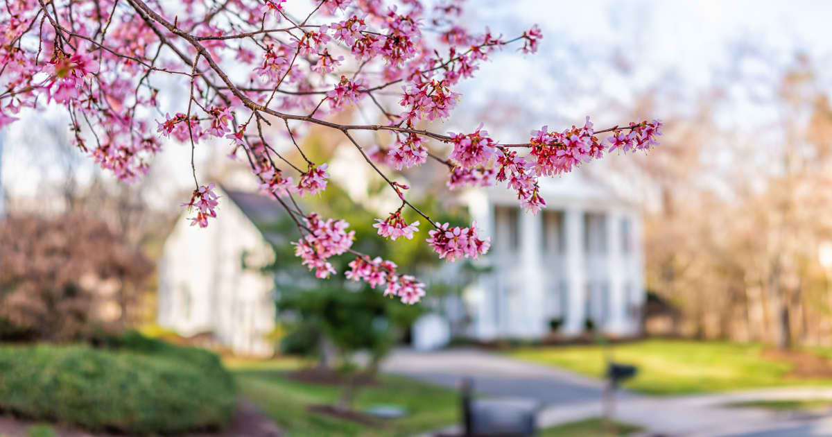 What’s in – and out – this spring home-buying season