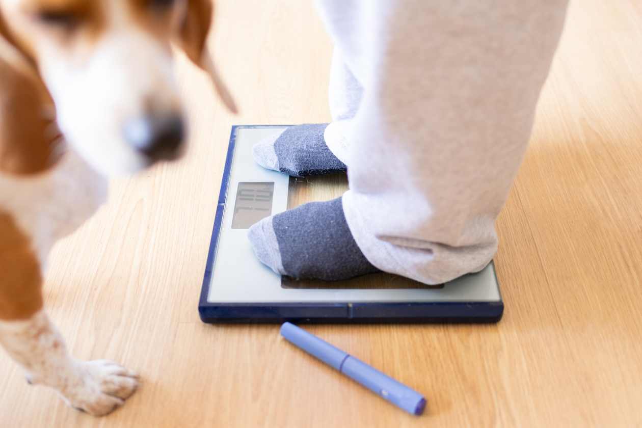 semaglutide wilmette GLP-1 Weight Loss Injections