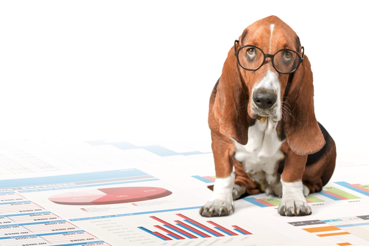 Forget ‘Dogs of the Dow.’ Here is a better strategy for picking dividend stocks.