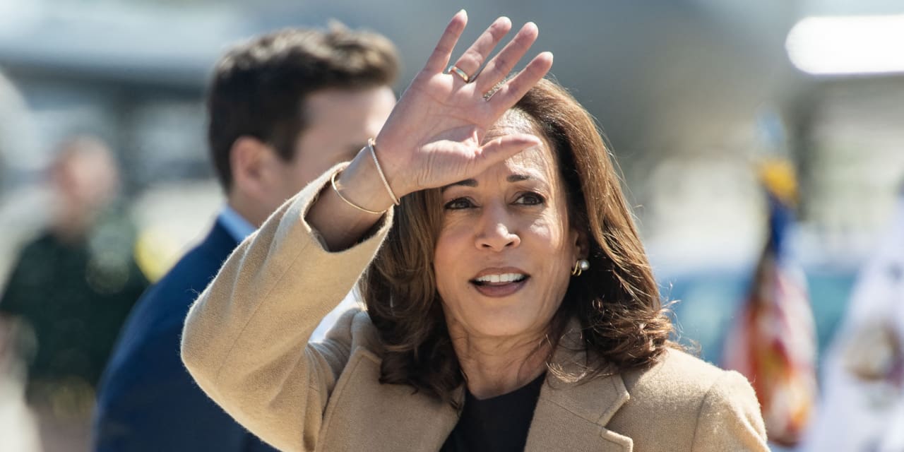 Kamala Harris supports a smaller increase in capital gains taxes than the one proposed by Biden