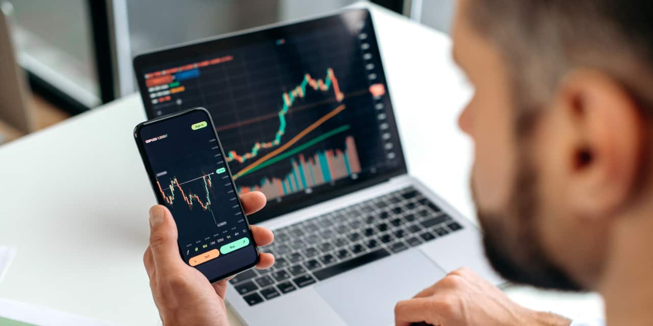 1%, 8%, zilch? How much is too much (or not enough) crypto for your  portfolio? We asked 9 pros - MarketWatch