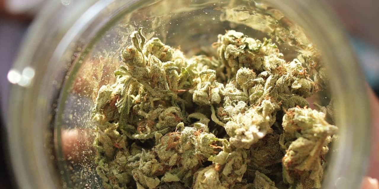 Canopy Growth hits snag with SEC over Canopy USA plan - Vimarsana News