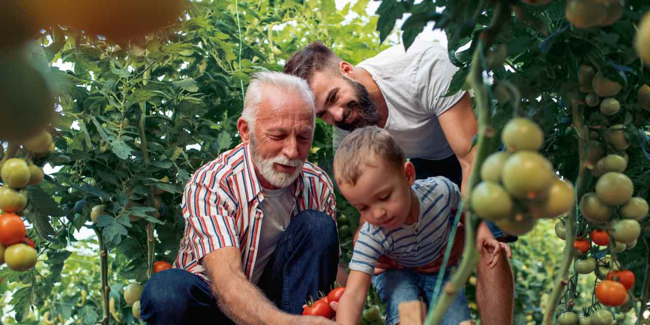 ‘My brother found God in recovery’: How do you save for retirement when ‘God will provide’ is your core value?