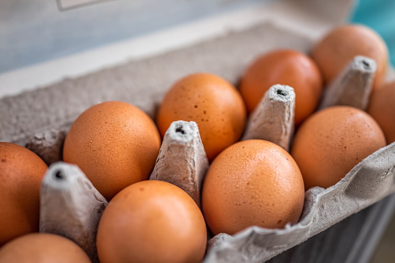 Vital Farms’ stock had its worst month ever, but the egg producer is still a buy, analysts say