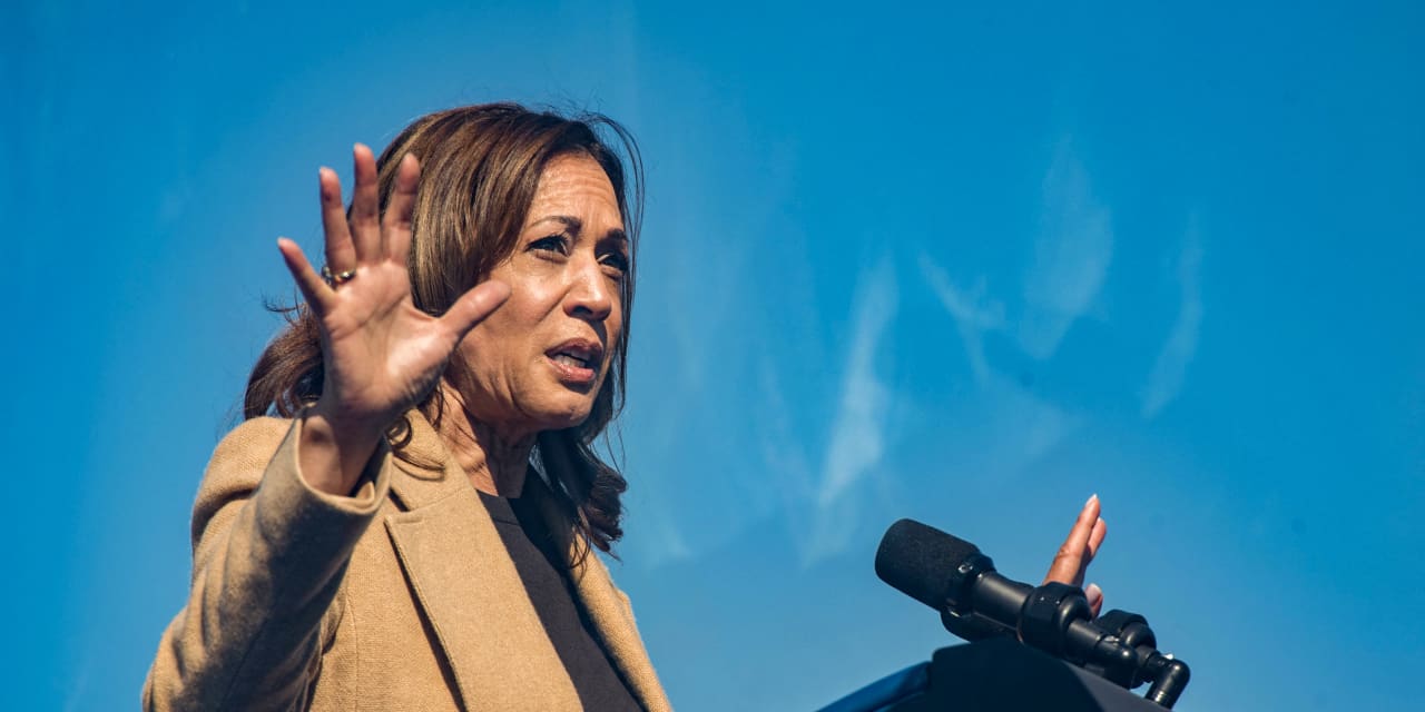 Kamala Harris’ corporate tax plan could cut S&P 500 gains by 5%: Goldman Sachs