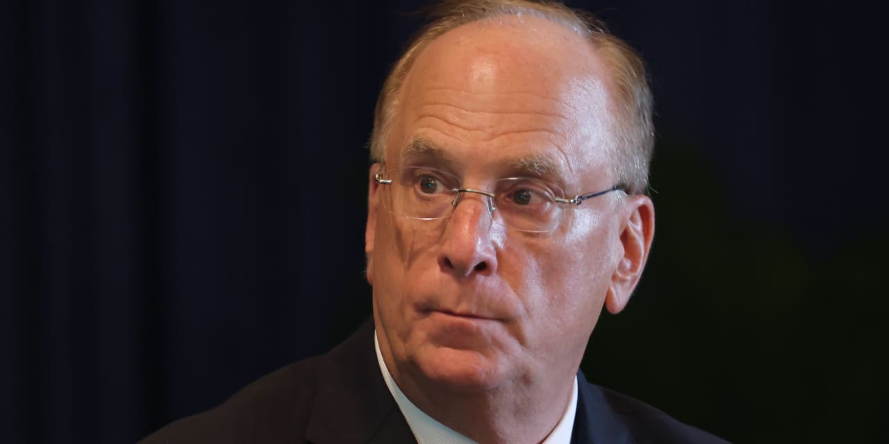 BlackRock’s Larry Fink says market bets on deep Fed rate cuts ‘insane’ given economic strength