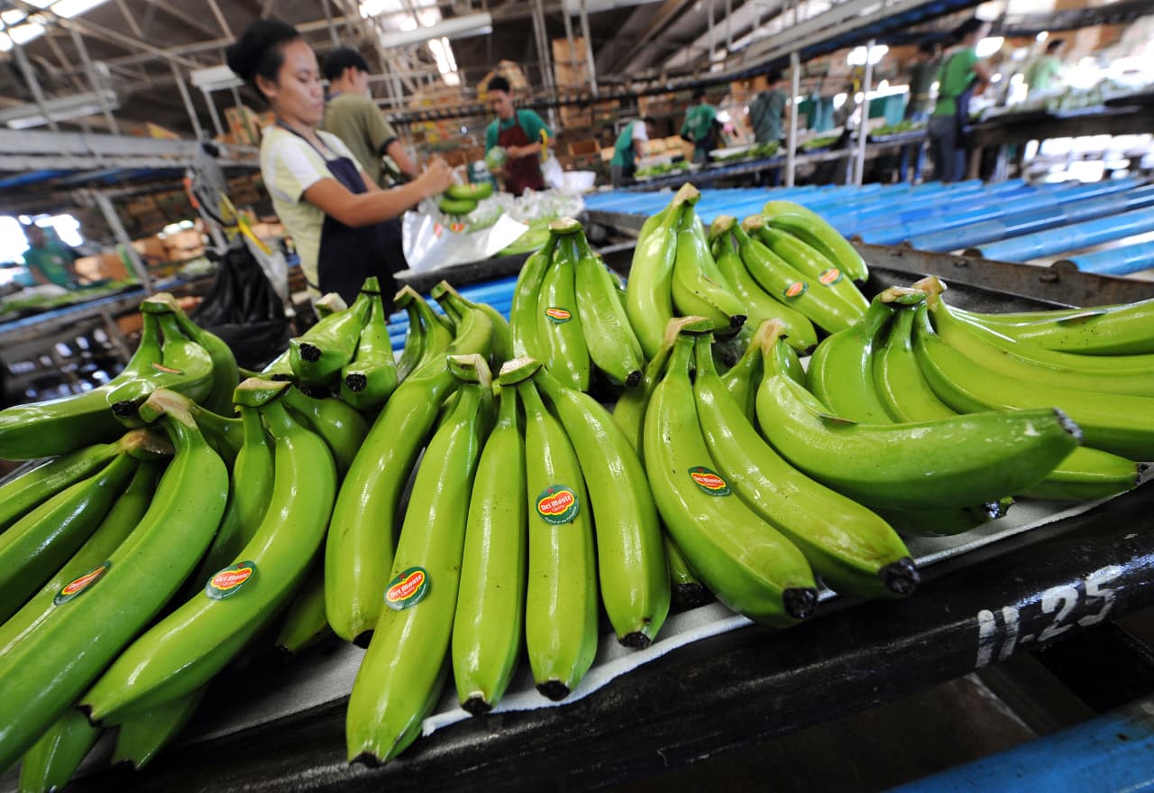 Fresh Del Monte’s stock falls as lower banana sales lead to downbeat earnings