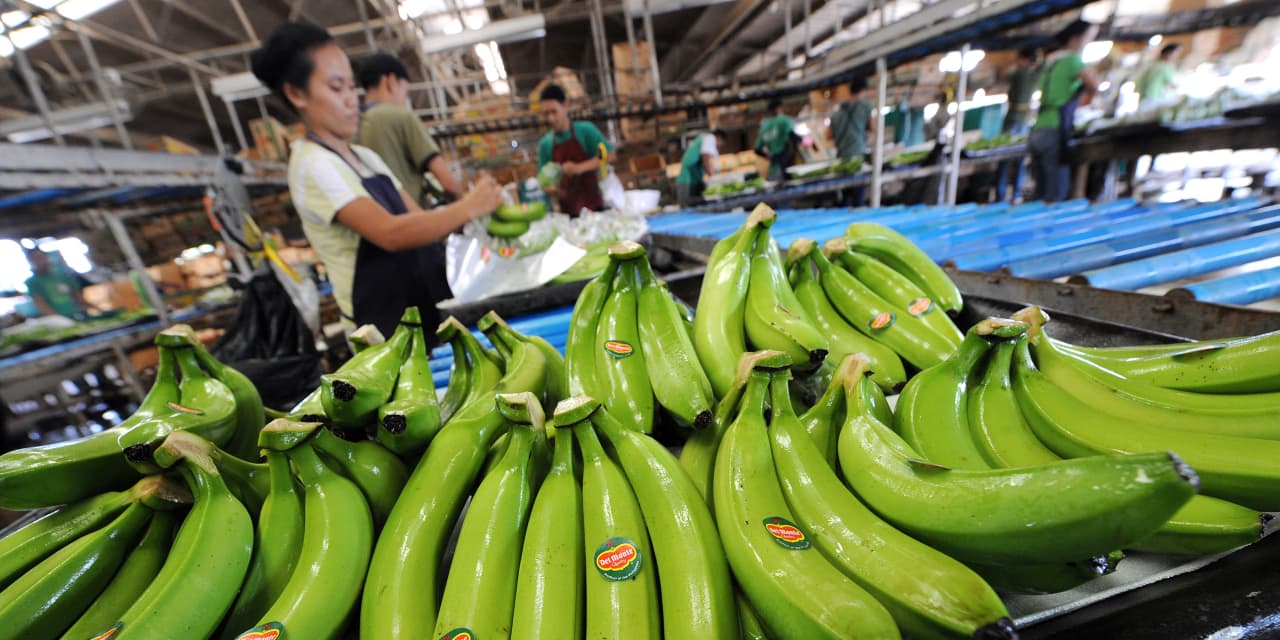 Fresh Del Monte’s stock falls as lower banana sales lead to downbeat earnings