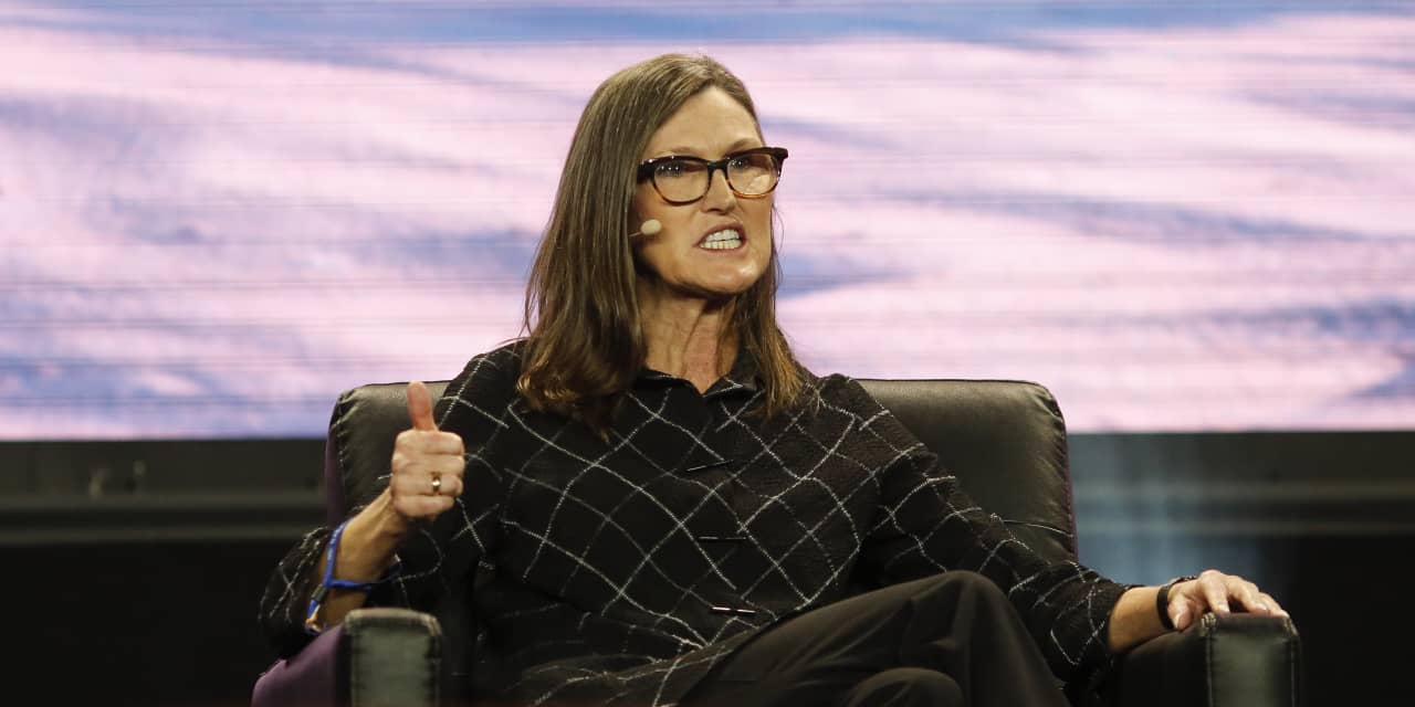 Cathie Wood's ETFs are now buying Tesla's stock - Vimarsana News
