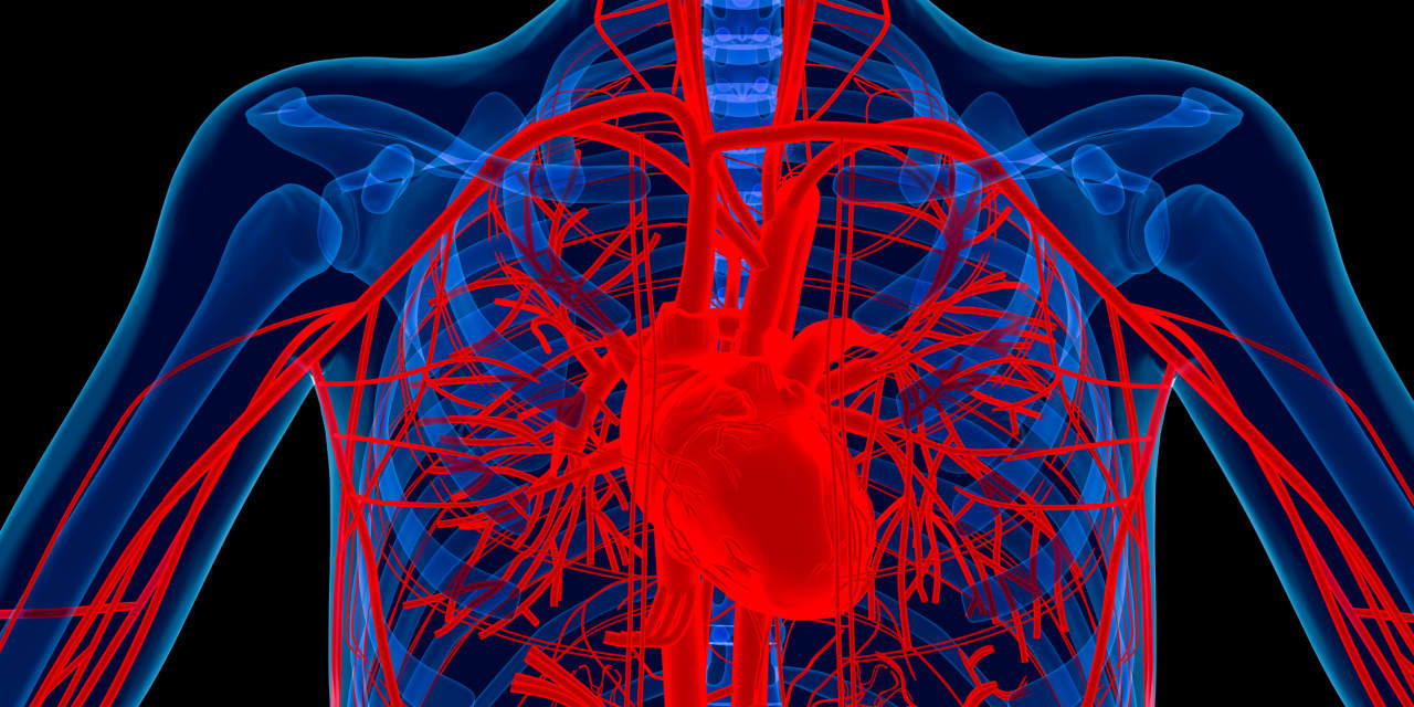 Lindsey Graham died from a rare heart condition. Here’s how to know if ...