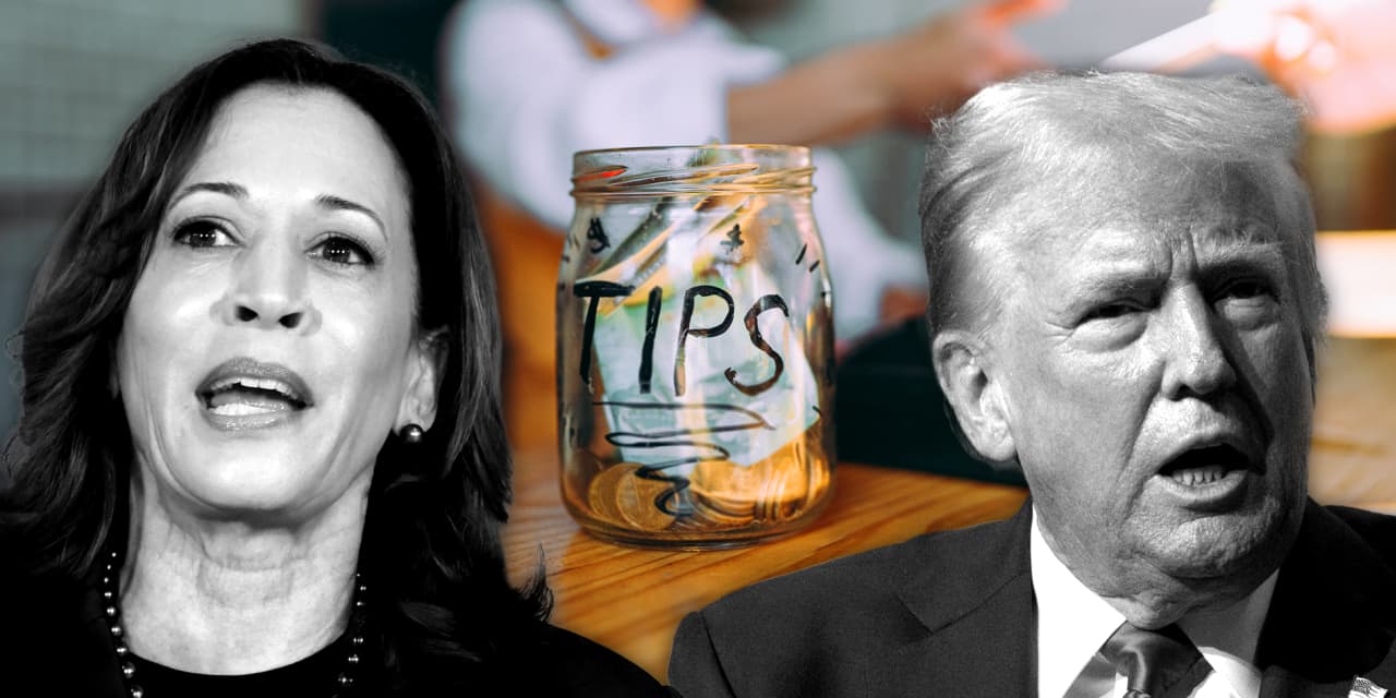 Kamala Harris, like Donald Trump, wants no tax on tips. Critics say the idea is “really bad” – no matter who proposes it.