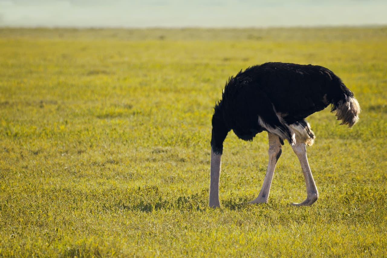 ‘This Fed has its head in the sand’ — but at least now we know where to invest