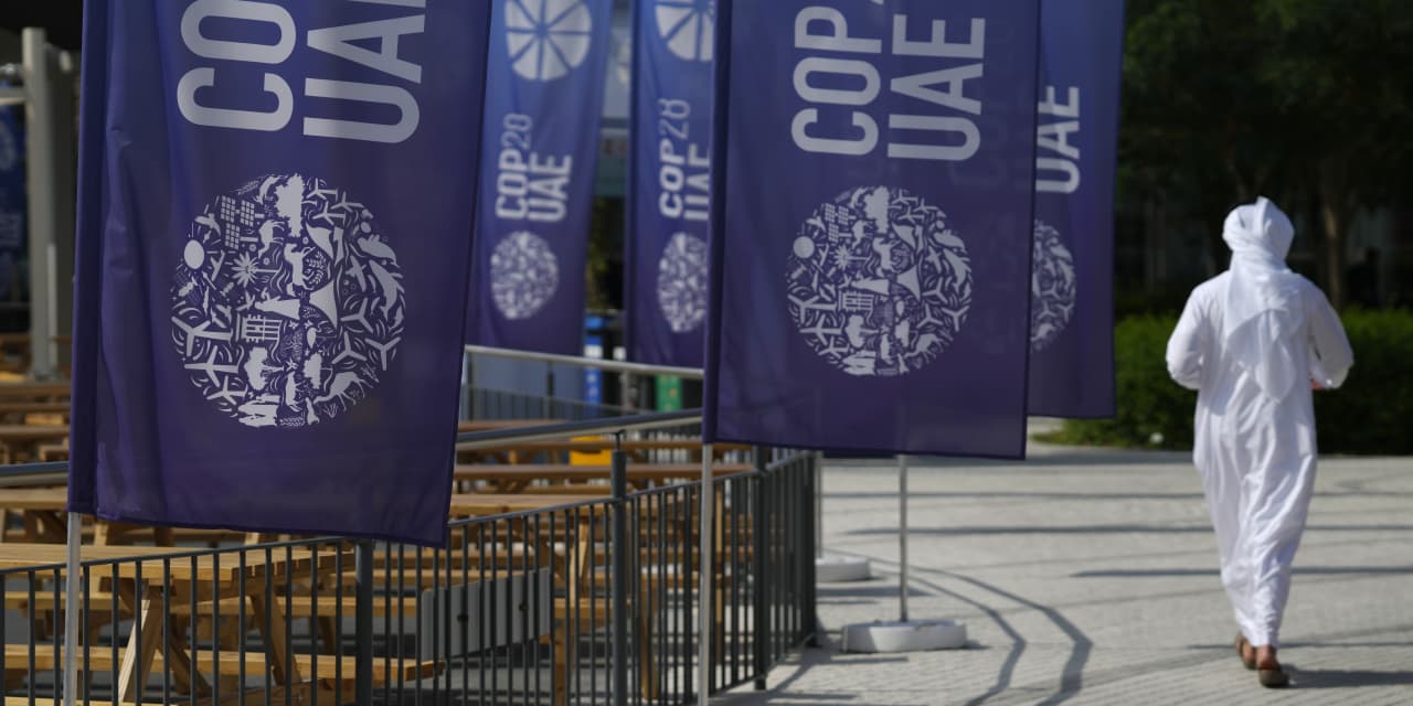 Opinion: Leaders at COP28 already have this strong weapon to fight climate change. - Vimarsana News