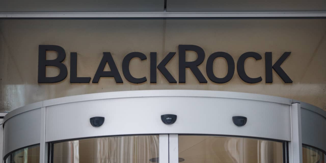 ETF competition fuels BlackRock stock downgrade after big run-up in share price