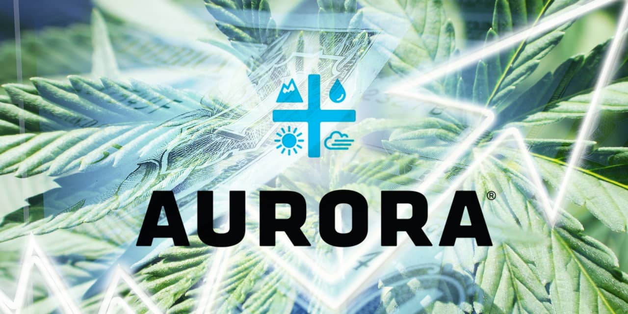 Aurora Cannabis Lost More Than C 3 Billion In A Chaotic Year And The Stock Is Falling Marketwatch