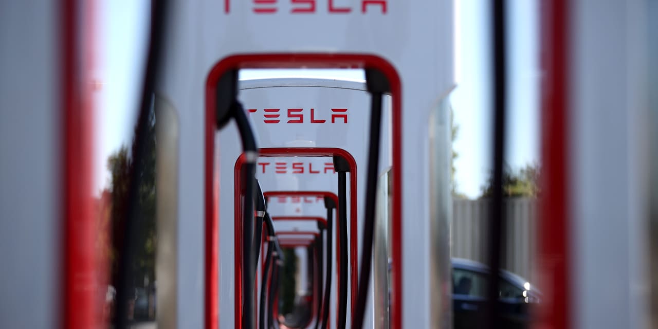 This Tesla bull expects another ‘volatile’ year for EV maker