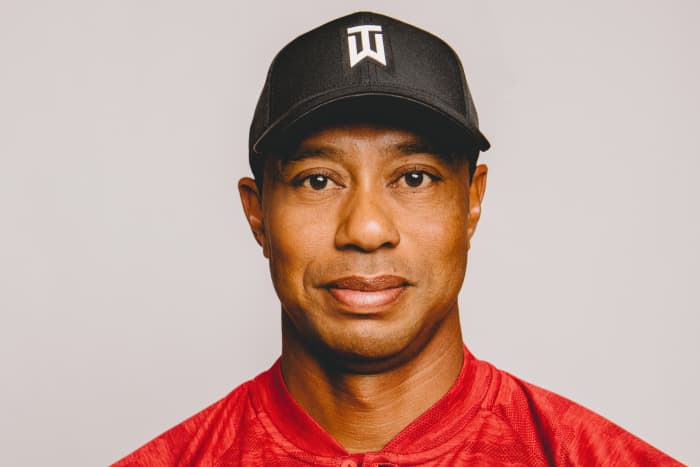 Tiger hotsell woods logo