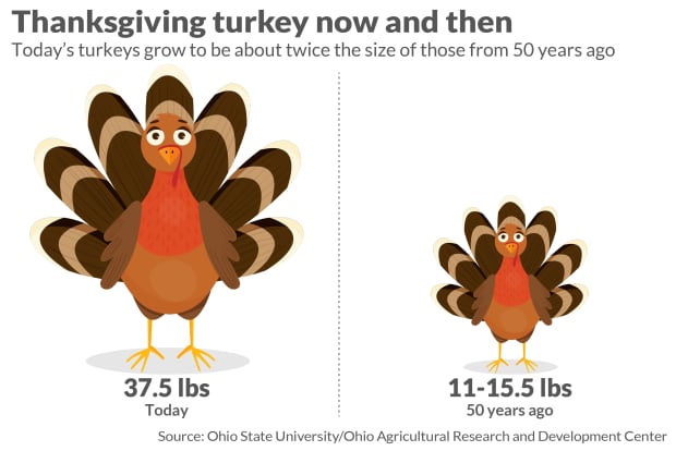 Smaller Turkeys Are Flying Off The Shelves As Americans Downsize Thanksgiving Marketwatch