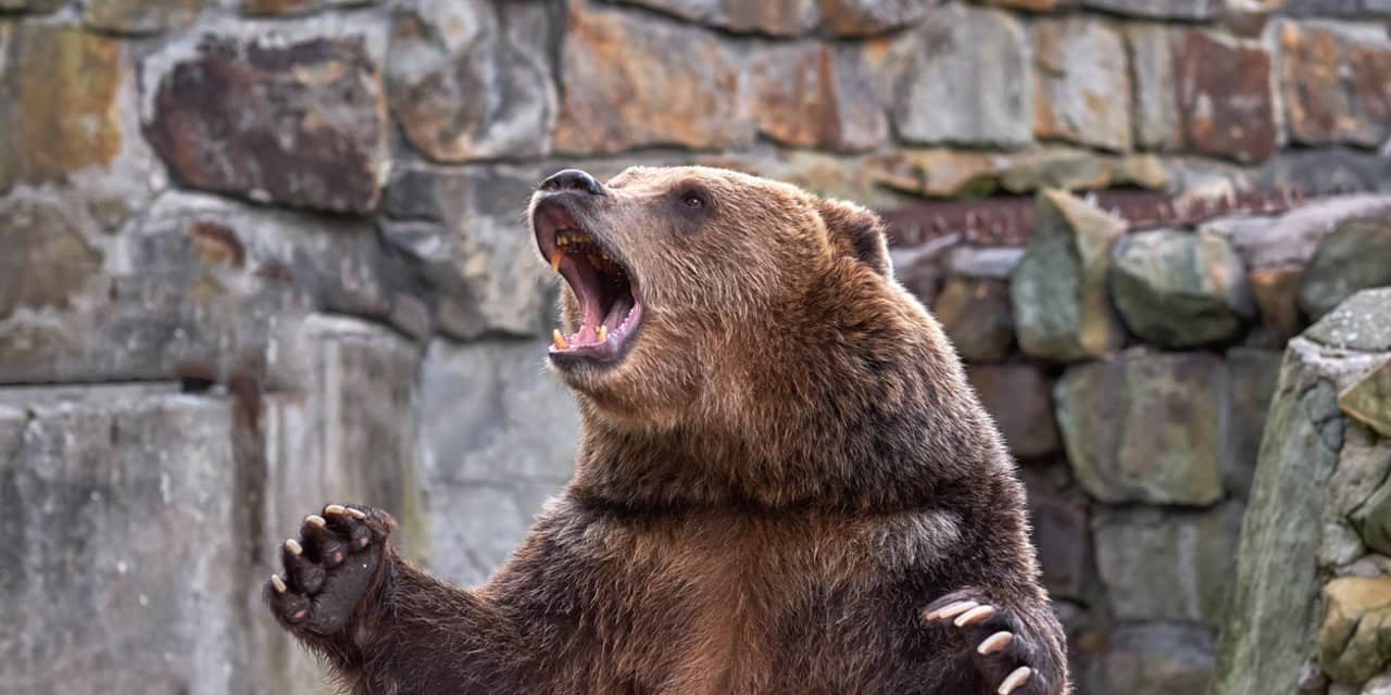 If the bull market breaks, it is likely to break hard, warns a long-standing bear who suggests investors are putting too much trust in the vaccine