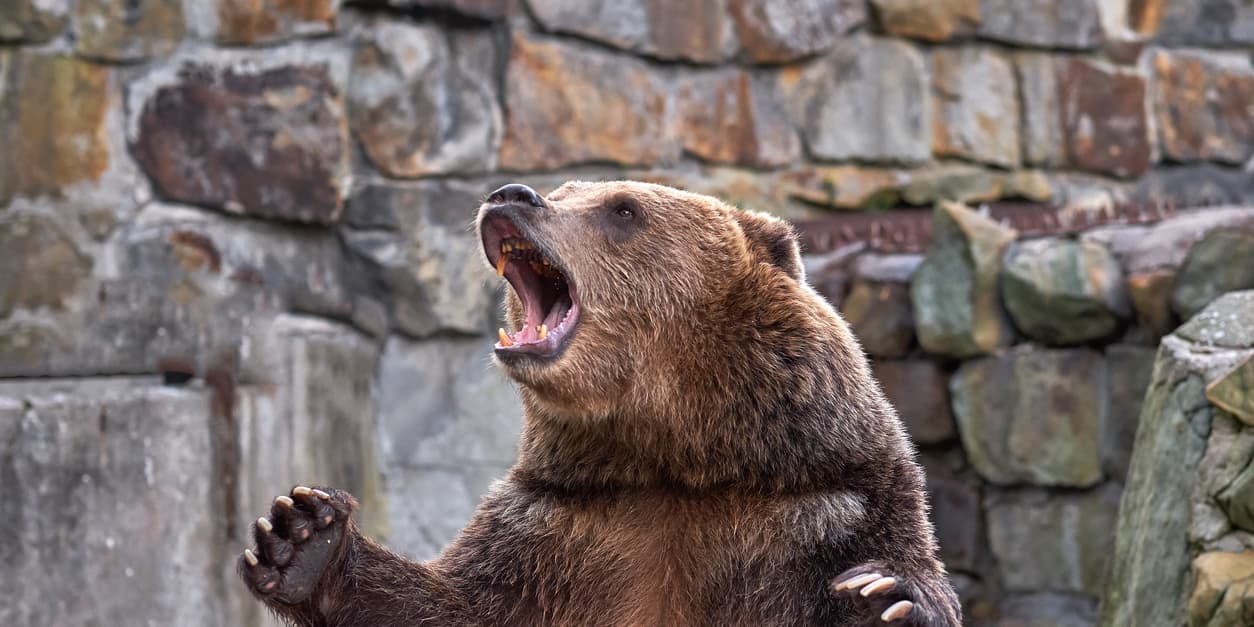 If the bull market breaks, it is likely to break hard, warns a long-standing bear who suggests investors are putting too much trust in the vaccine