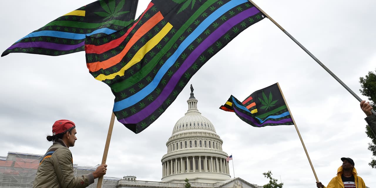 Cannabis stocks rally after report that DEA will reclassify drug as less dangerous
