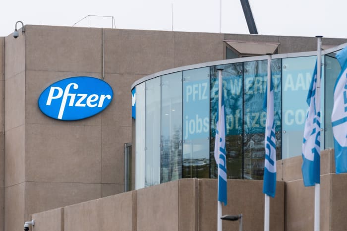 Pfizer s stock falls 4 after halting trial of obesity drug due to