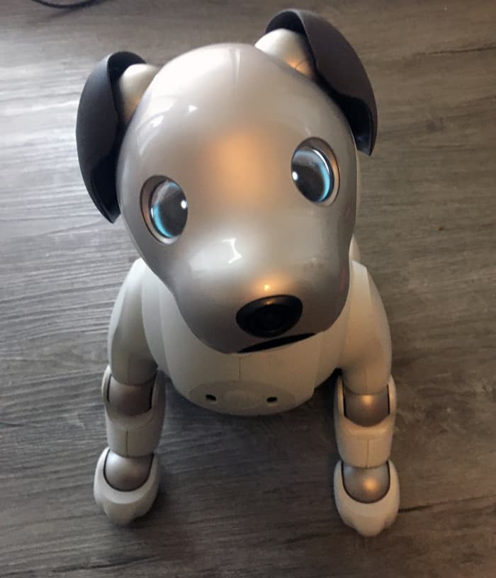 Companion Pet Golden Pup, Robotic Dog