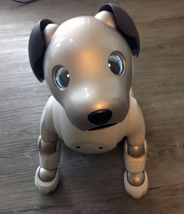 Sony Aibo review: Just get a puppy