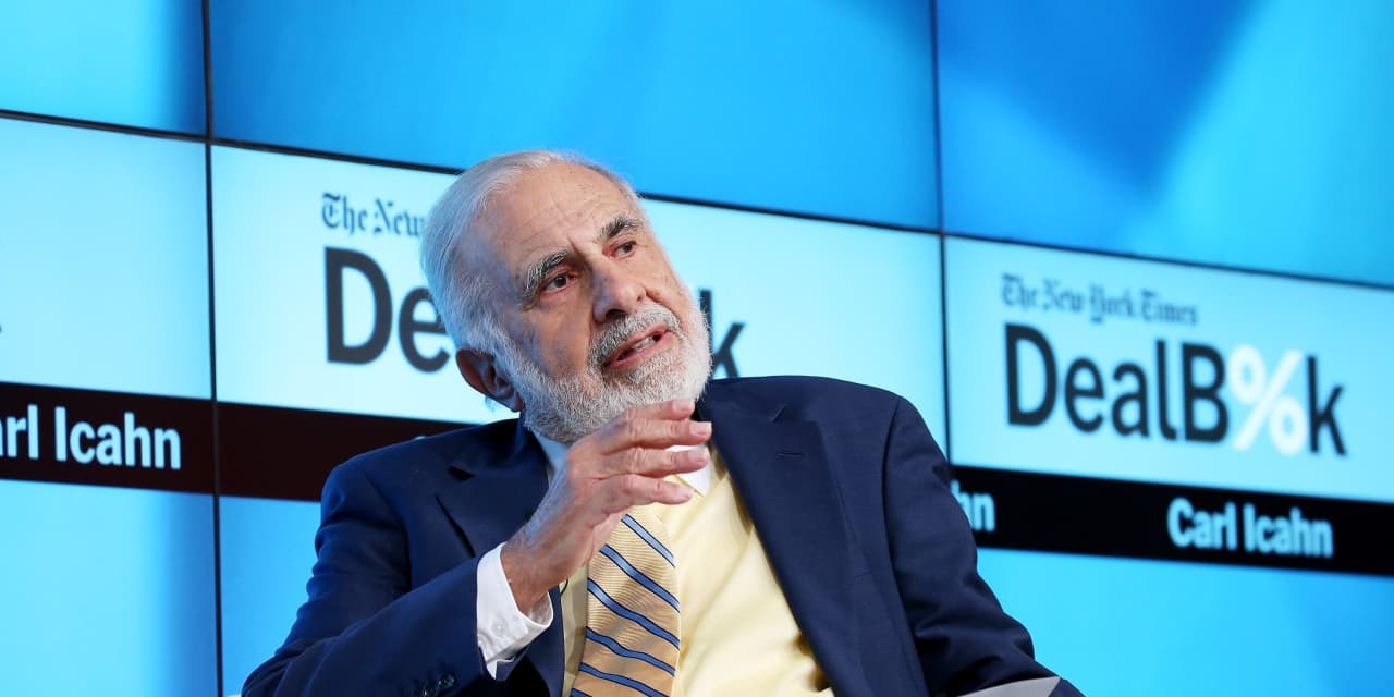 Billionaire Carl Icahn says he is well covered before a potential “painful correction” for the stock market