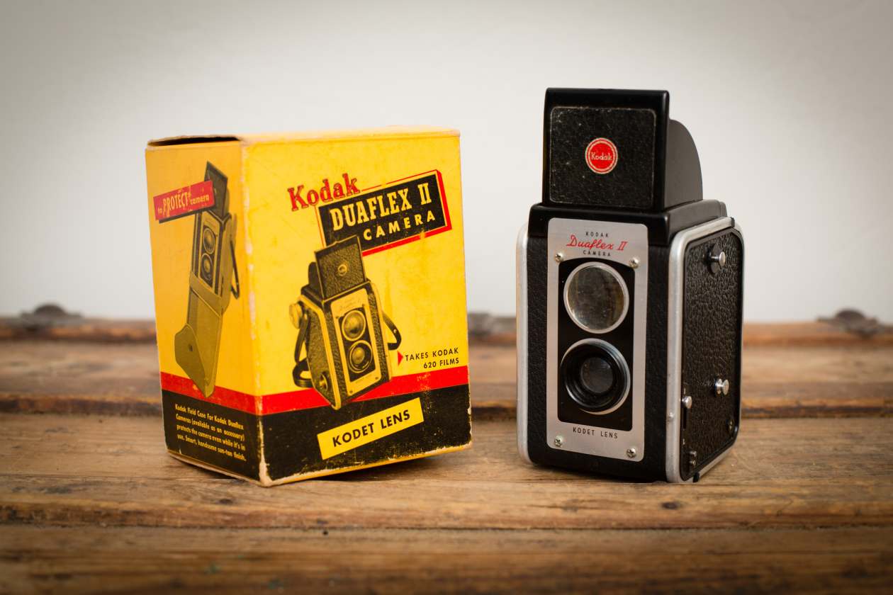 IS GOOGLE EVEN RELEVANT ANYMORE? Stock drop draws comparison to Kodak ⚠️
