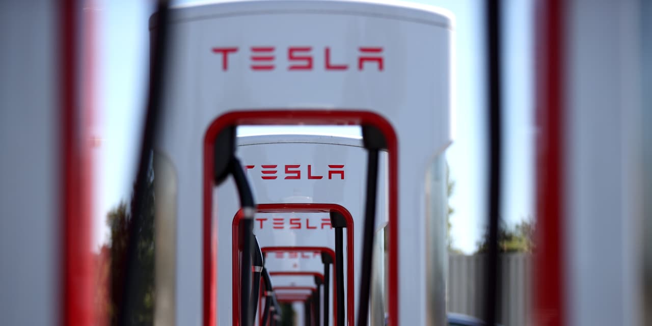 Investors believe Tesla and Bitcoin are more likely to halve than double, Deutsche Bank warns