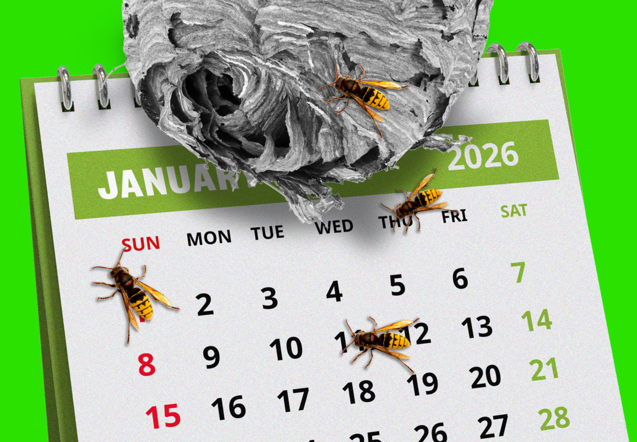 The labor market was bad last year. Will investors get stung by a poor January jobs report, too?