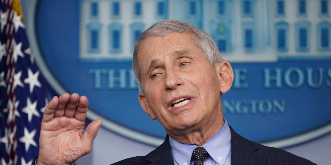 Fauci predicts return to ‘normal’ at Christmas