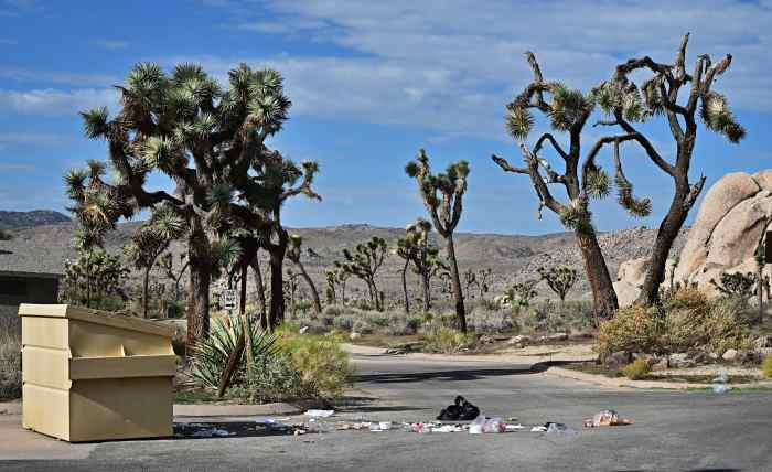Trash piled next to a dumpster and scattered on a road at Joshua Tree National Park.