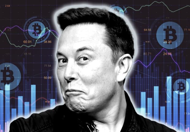 Is Elon Musk Investing In Bitcoin? : Tesla Reveals 101 Million Bitcoin Profit Still Holds 1 3 Million : Mr musk shared the meme with #bitcoin.