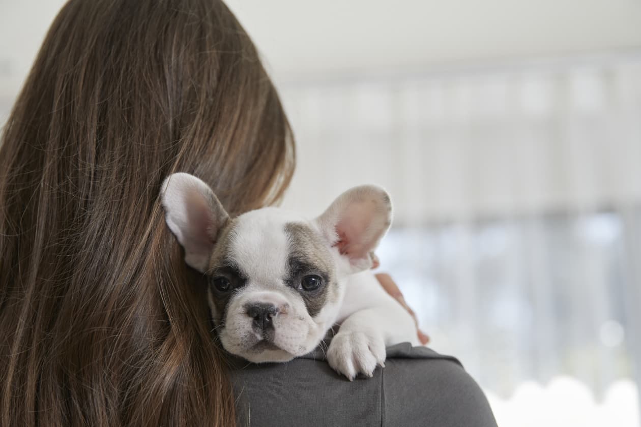Petco s stock falls 4 after posting another quarterly loss as CEO Ron Coughlin steps down MarketWatch
