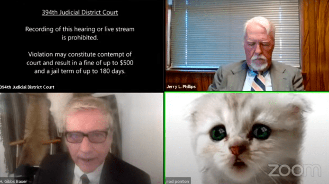 Do Not Miss This Texas Cat Lawyer Commits Hilarious Zoom Fail By Keeping Kitten Filter On Marketwatch