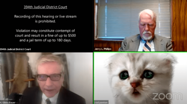 Texas Lawyer Cat Zoom Call : 'I'm not a cat': Lawyer tries to explain Zoom filter to ... : Then he realized we all could use a laugh.