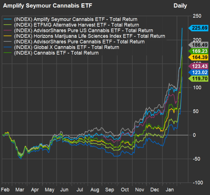 Bestperforming marijuana ETF manager says the industry will be transformed by iconic consumer