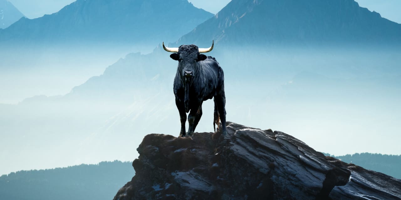 Opinion: What signals the top of a bull market in stocks? Not rising ...