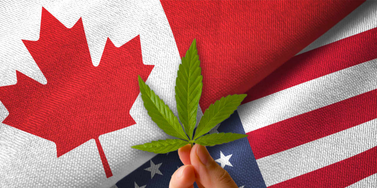 If you want to get rich with marijuana stocks, you need to know the crucial difference between U.S. and Canadian companies
