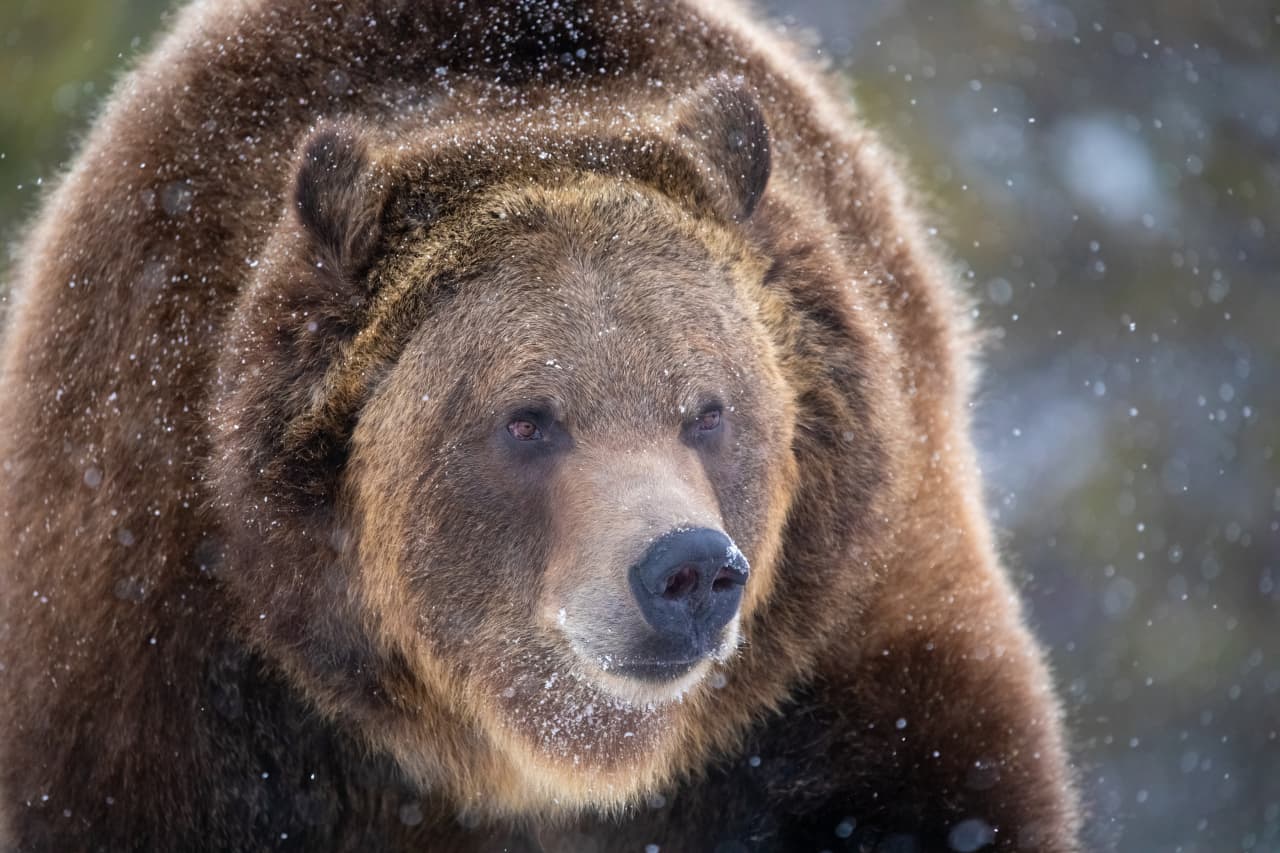 Wall Street’s ‘fear gauge’ surges as volatility reawakens across markets