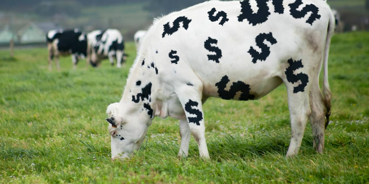 This cash-cow stock strategy is attracting lots of money. Here are its top 10 picks.