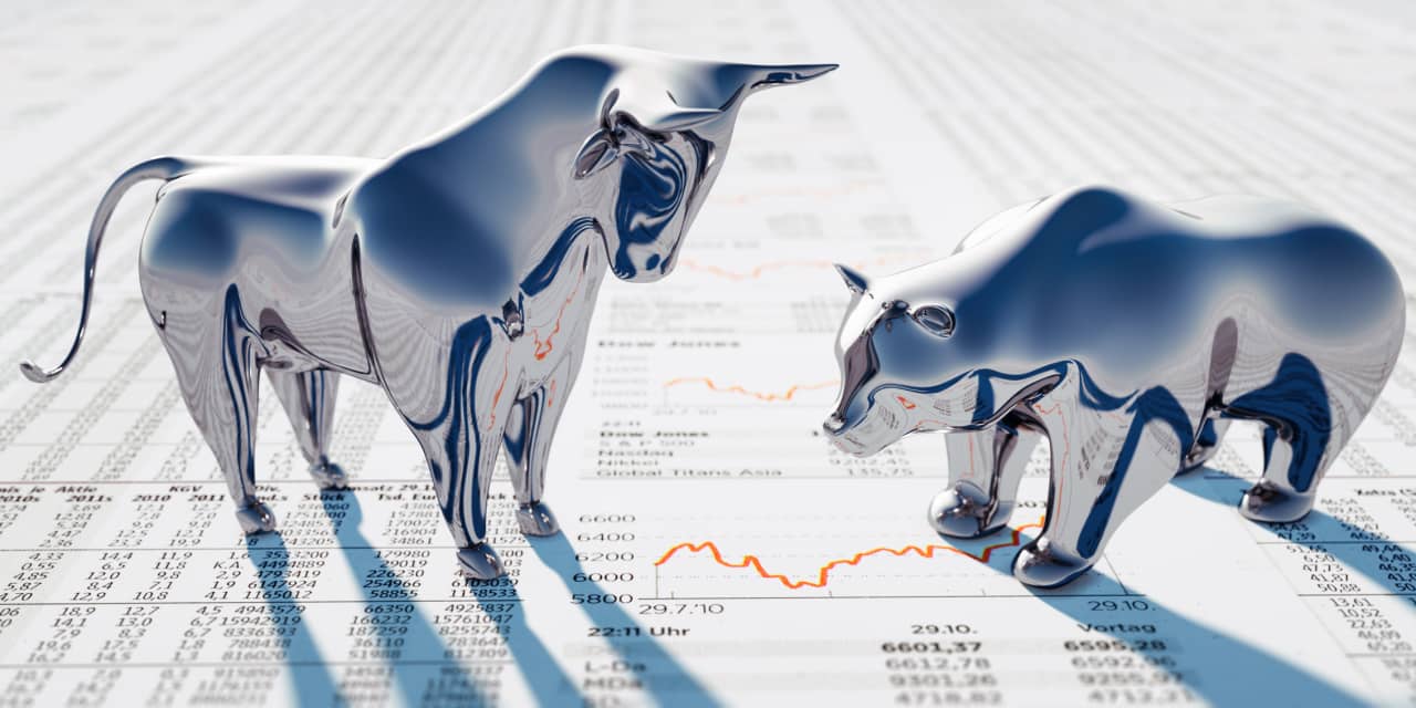 marketwatch.com - Jules Rimmer - There's a 'monstrous bull market' developing under the surface of the S&P 500. This hedge-fund manager tells you where it's at.