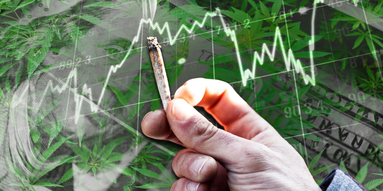 U.S. cannabis producers now favored by Wall Street analysts who have worsened Canadian companies